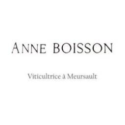 Anne Boisson