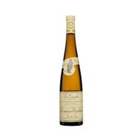 Pinot Gris