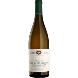 Puligny-Montrachet 1er Cru Champ Canet 2022 Domaine Jacques Carillon 