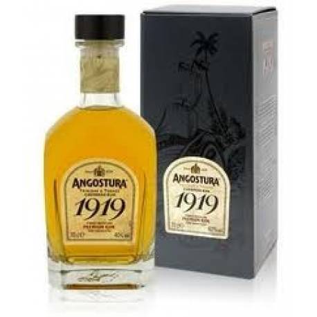ANGOSTURA 1919