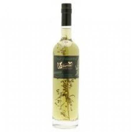 Absinthe - Libertine Fleur d'Absinthe